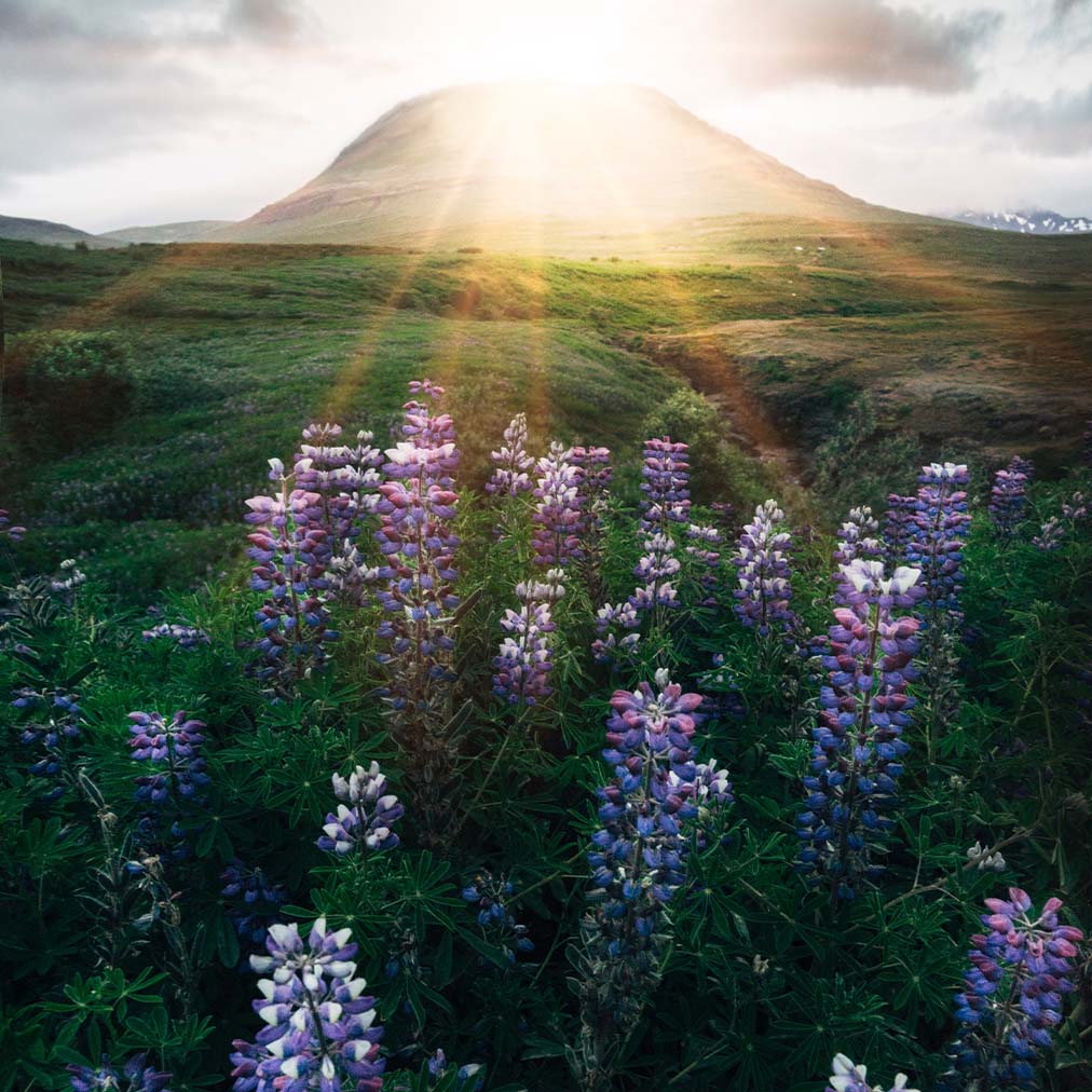 alternative-treatment-for-chronic-pain-antonio-silva-medical-intuitive Chronic Pain Alternative Intuitive Healing Antonio Silva | Antonio's Healing Hands